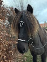 Lukka næsebånd - Rose - Billede 3