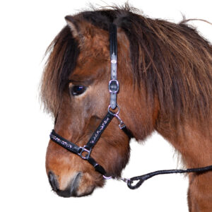 Hestagallery Rockstone Lædergrime med sten i blå og sølv. Lækker lædergrime til islænderen.