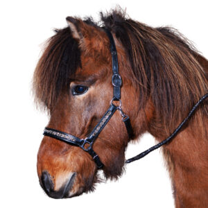 Hestagallery Rockstone Lædergrime med små guld- og sølvfarvede sten. Lækker lædergrime til islænderen.