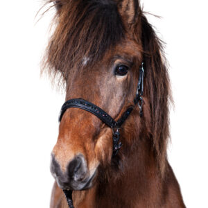 Hestagallery Rock Stone Lædergrime med sten i grøn og sort