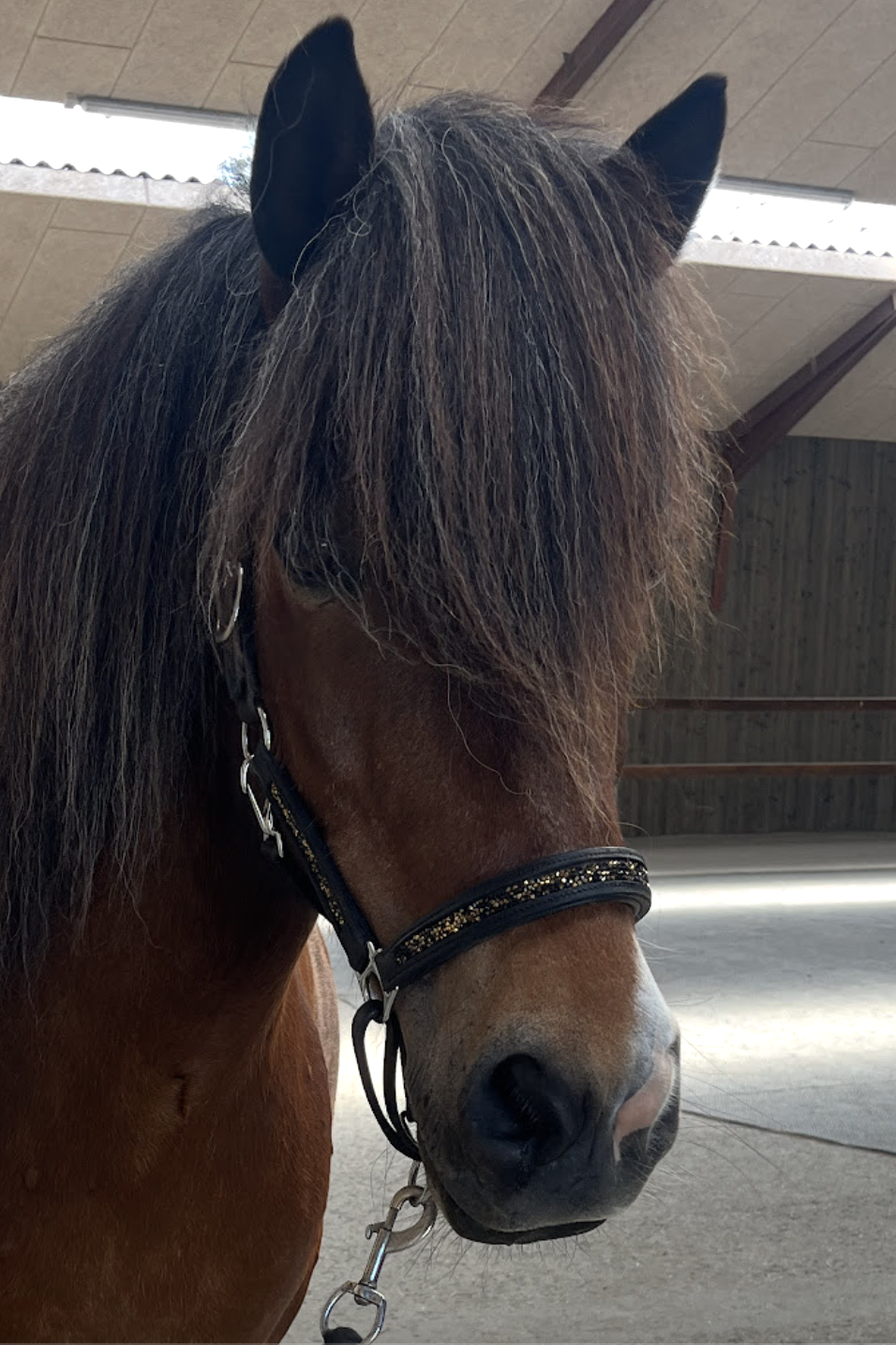 Skærmbillede 2025-02-05 kl. 21.13.37