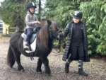 Børnesadel - også velegnet til handicapridning - Billede 3